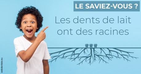 https://dr-olivier-lemaire.chirurgiens-dentistes.fr/Les dents de lait 2
