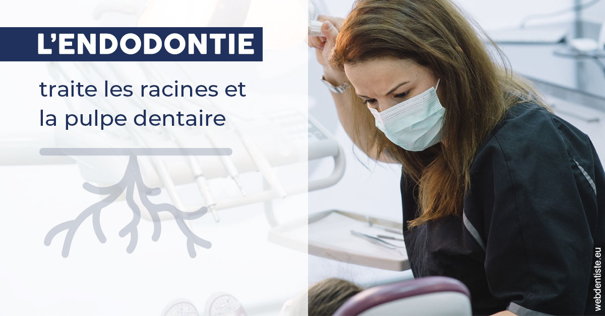 https://dr-olivier-lemaire.chirurgiens-dentistes.fr/L'endodontie 1