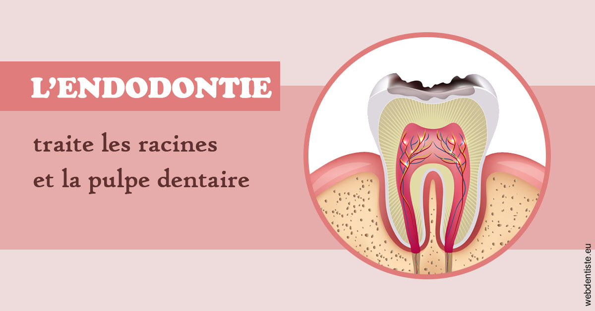 https://dr-olivier-lemaire.chirurgiens-dentistes.fr/L'endodontie 2