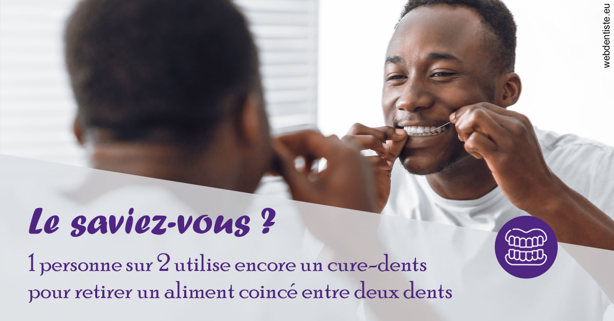 https://dr-olivier-lemaire.chirurgiens-dentistes.fr/Cure-dents 2