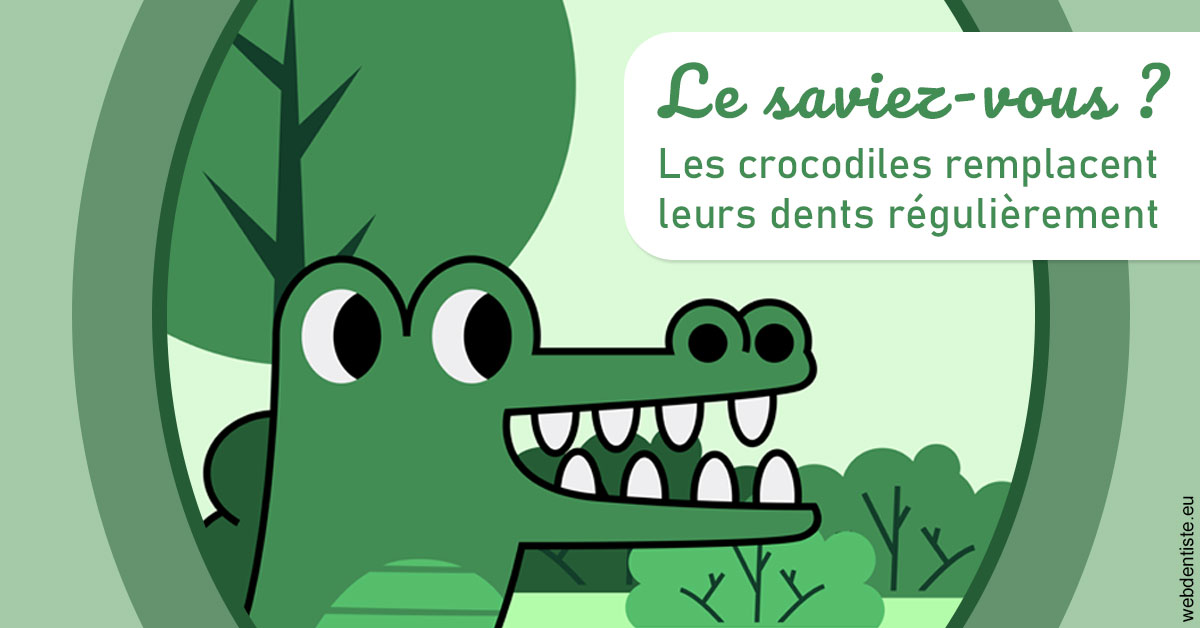 https://dr-olivier-lemaire.chirurgiens-dentistes.fr/Crocodiles 2