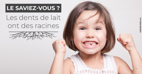 https://dr-olivier-lemaire.chirurgiens-dentistes.fr/Les dents de lait