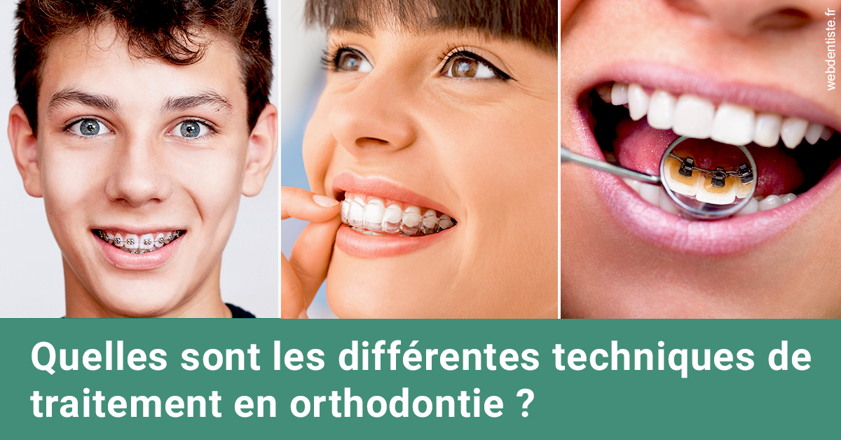 https://dr-olivier-lemaire.chirurgiens-dentistes.fr/Les différentes techniques de traitement 2