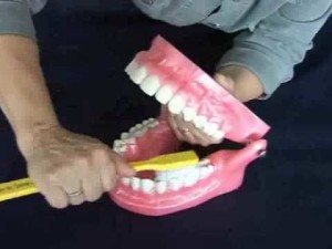 Comment se brosser les dents